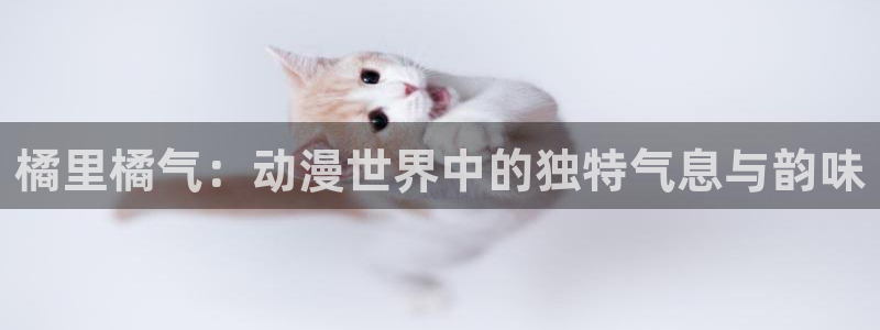 58动漫网手机：橘里橘气：动漫世界中的独特气息与韵味