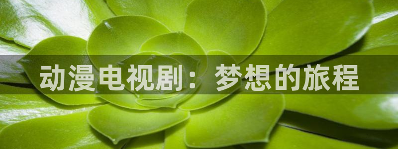 58动漫网在线观看：动漫电视剧：梦想的旅程