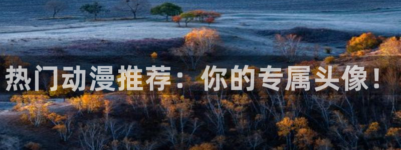 58动漫网热门动漫：热门动漫推荐：你的专属头像！