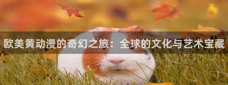 58动漫动画：欧美黄动漫的奇幻之旅：全球的文化与艺术宝藏
