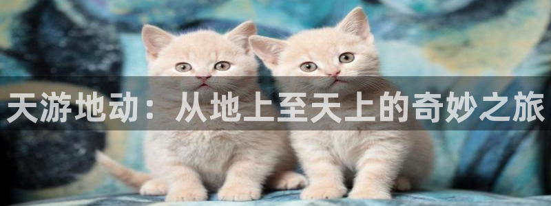 58动漫网站官网免费下载：天游地动：从地上至天上的奇妙之旅