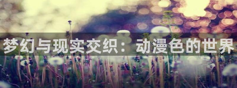 58动漫网全网动漫全集免费观看：梦幻与现实交织：动漫色的世界