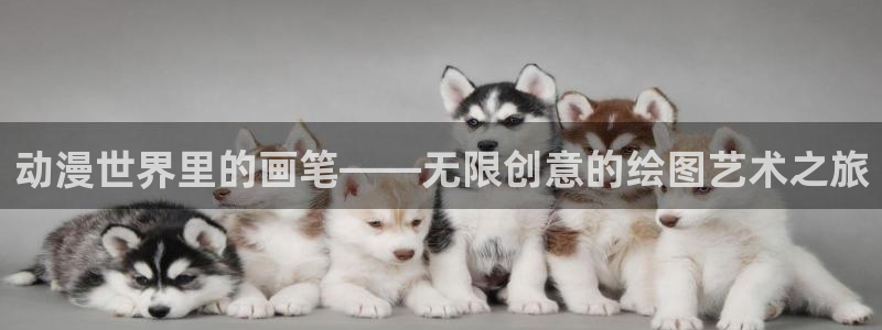 58动漫动画：动漫世界里的画笔——无限创意的绘图艺术之旅