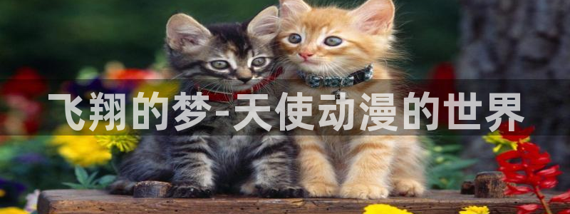 58动漫网站官：飞翔的梦-天使动漫的世界