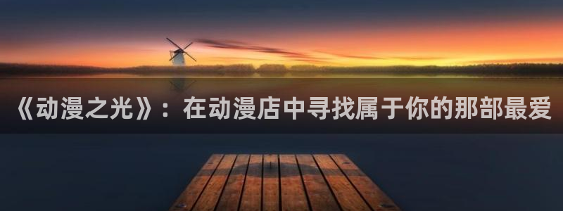 58动漫网观看：《动漫之光》：在动漫店中寻找属于你的那部最爱